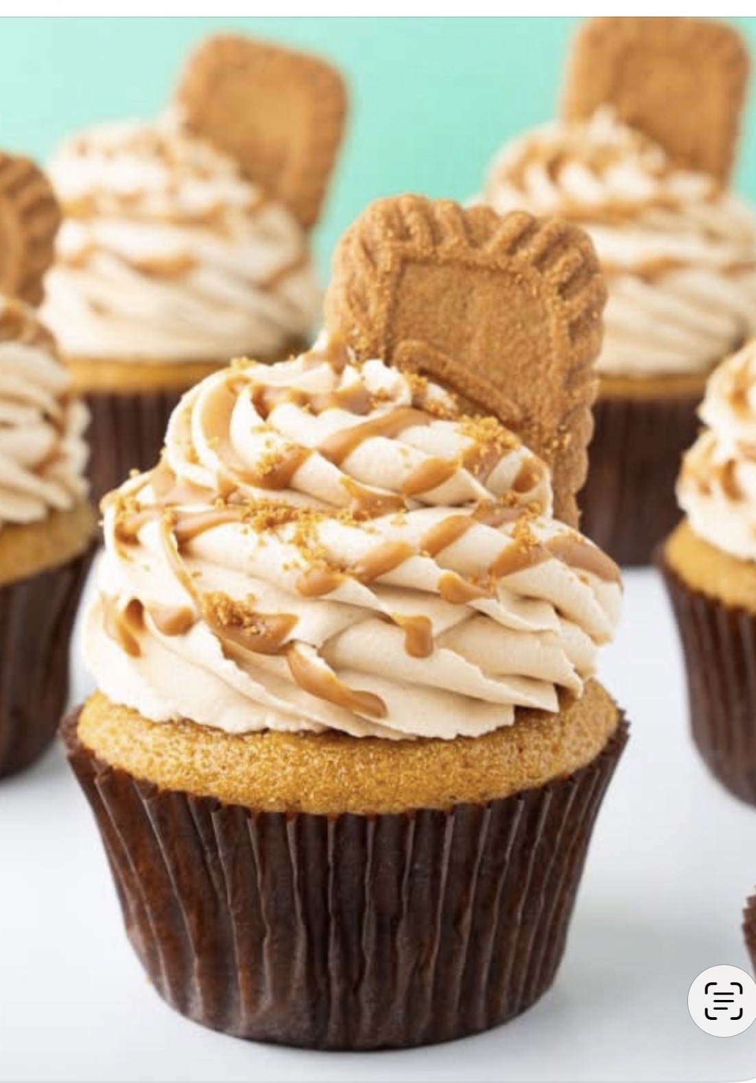 Cupcakes topped with frosting, drizzle, and cookies